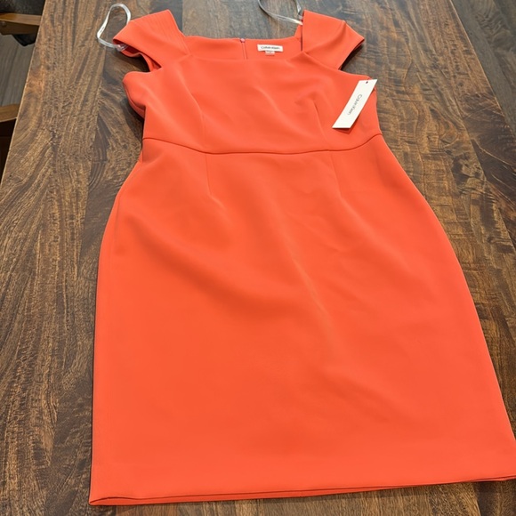 NEW Calvin Klein Beautiful Dress - Picture 3 of 8